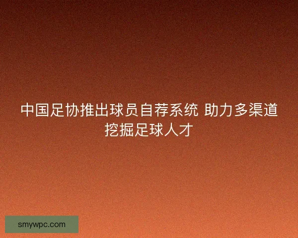 中国足协推出球员自荐系统 助力多渠道挖掘足球人才