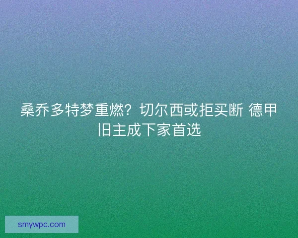 桑乔多特梦重燃？切尔西或拒买断 德甲旧主成下家首选